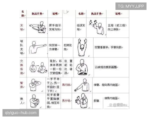深度解析裁判手势规则：常用手势含义与判罚